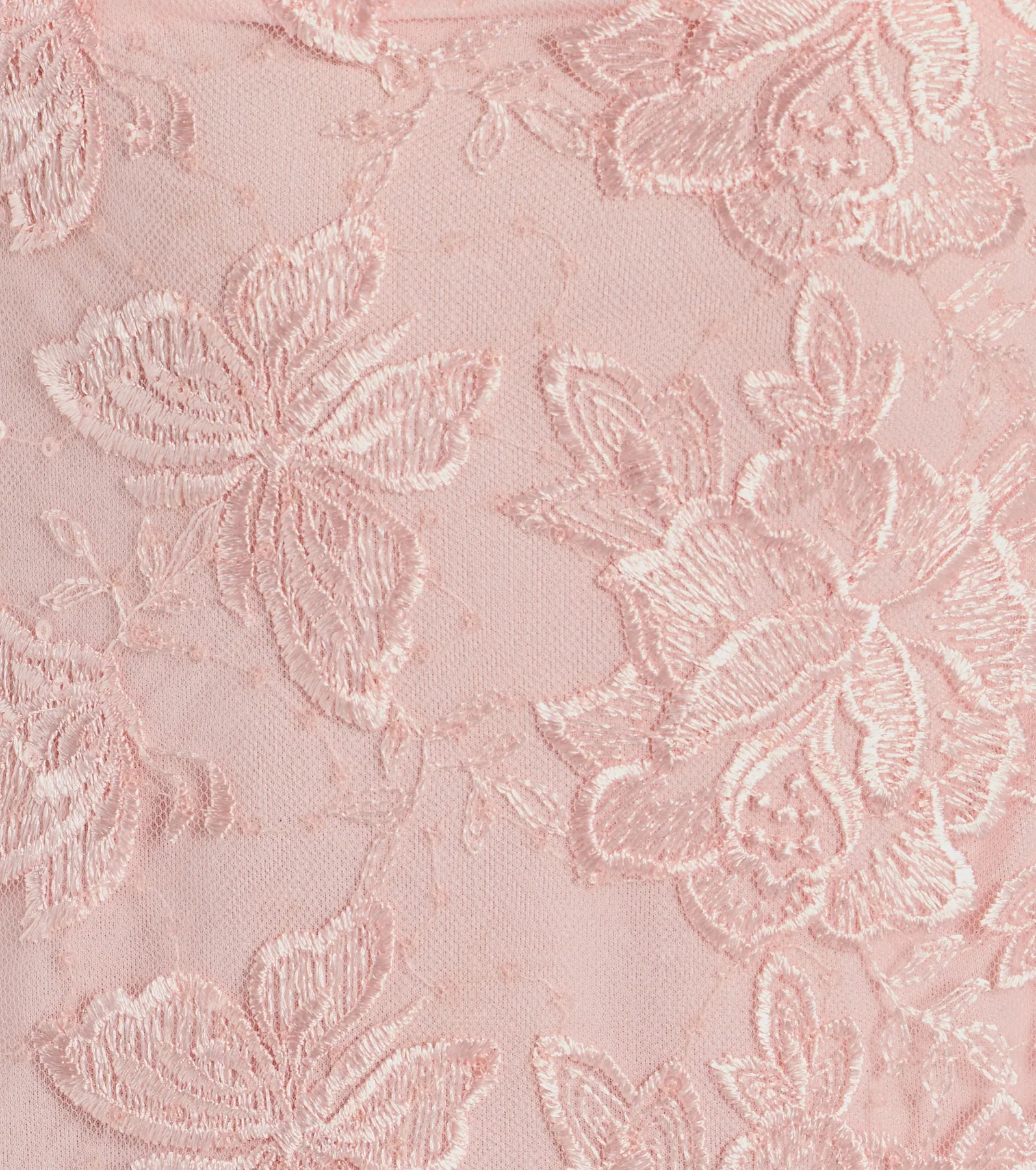 Butterfly Lace A-Line Mini Dress