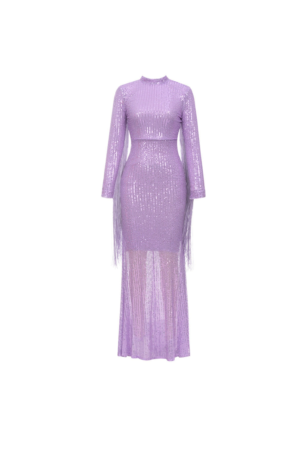 Sequin fringe maxi dress in purple