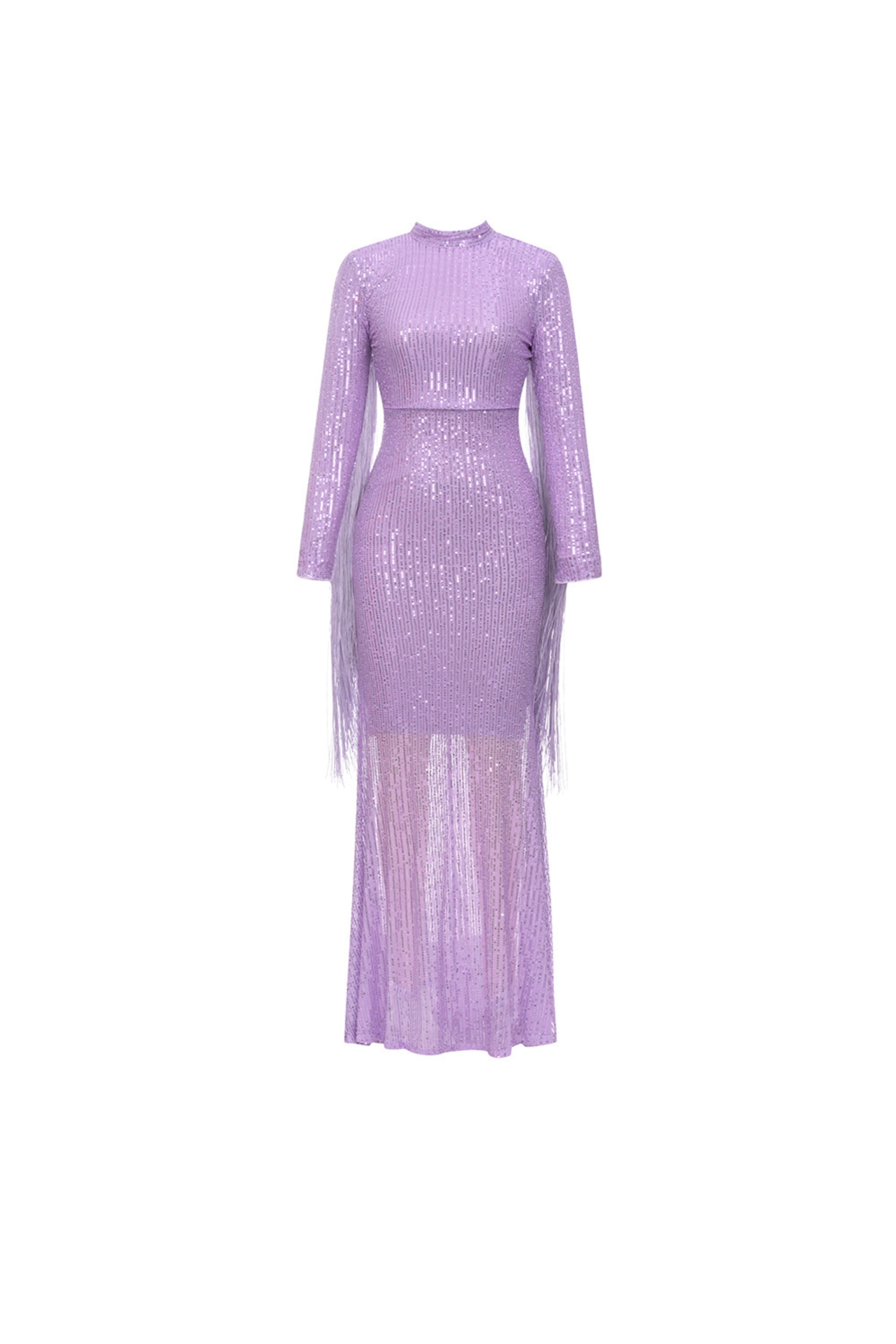 Sequin fringe maxi dress in purple